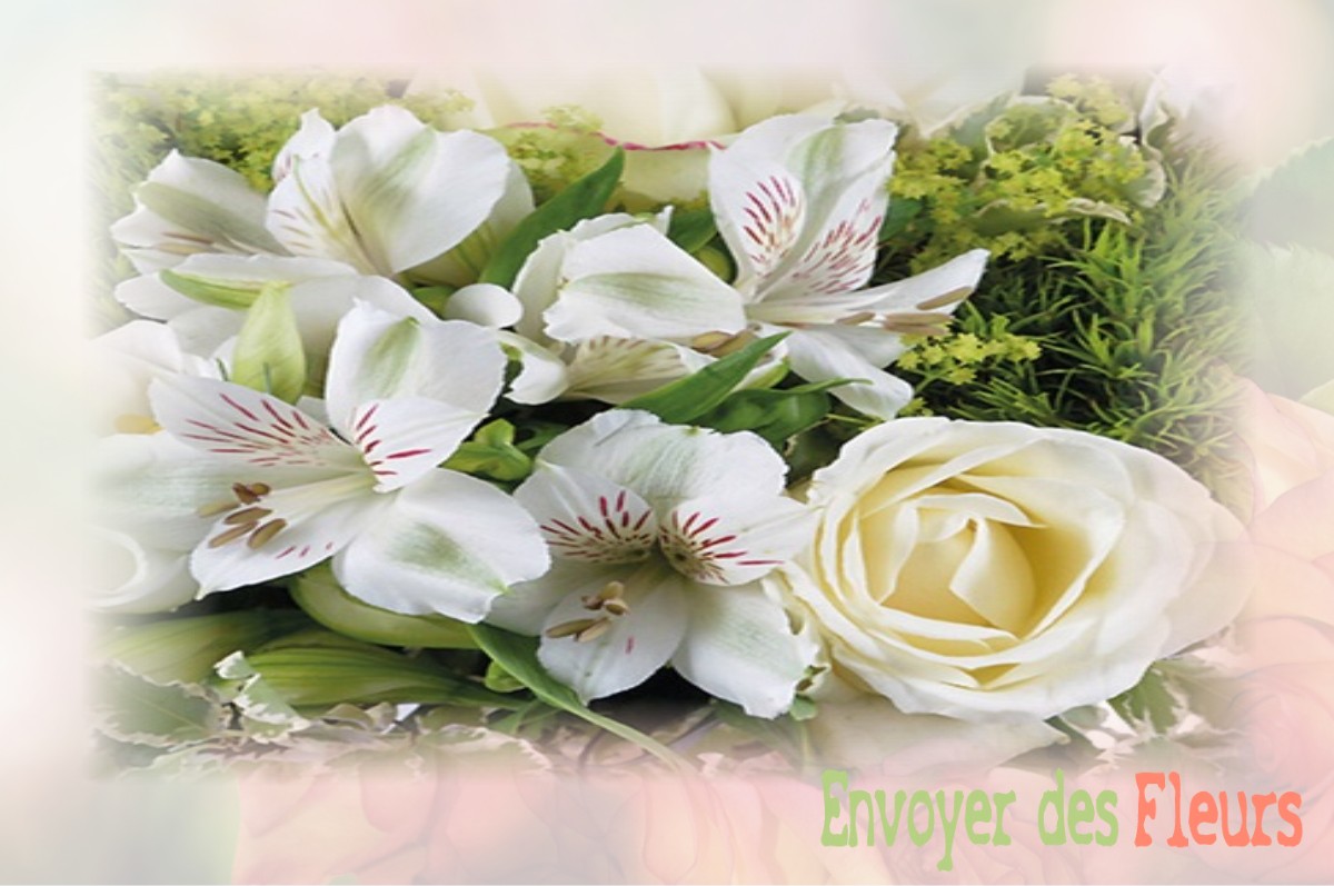 envoyer des fleurs à à ARNIERES-SUR-ITON